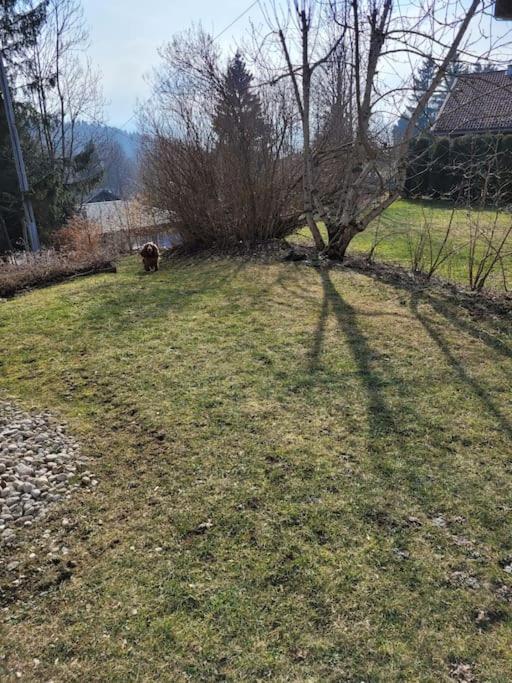 Appartement Le Flocon, Joli Petit Cocon 4 Pers En Rez De Jardin Draps Inclus Les Rousses Exterior foto